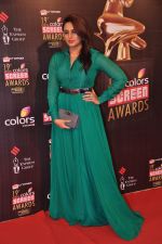 Huma Qureshi at Screen Awards red carpet in Mumbai on 12th Jan 2013 (460).JPG